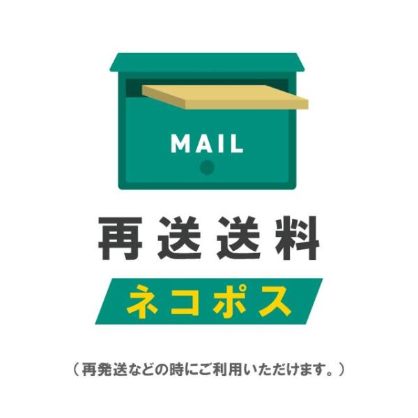 お客様に商品を再送する際の送料の請求ページです。