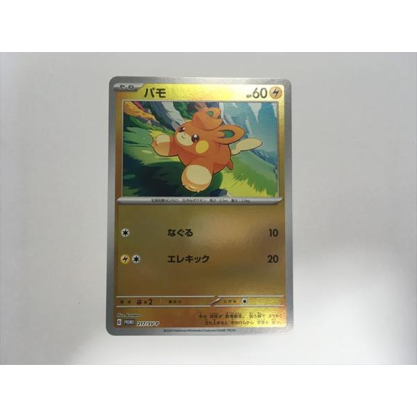 Pokemon（ポケモン） F240【ポケモン カード】 パモ PROMO プロモ 217