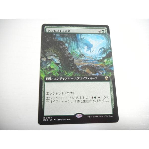 MTG 日本語 タルモゴイフ 3枚　初版 MTG 日本語 タルモゴイフ 3枚初版