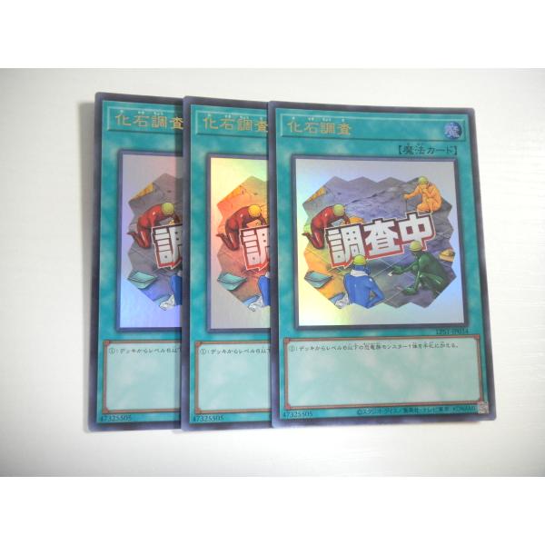 専用です ユウ様。　　化石　右と左 化石 右と左 化石 右と左 Mr.シンゲツ on X: