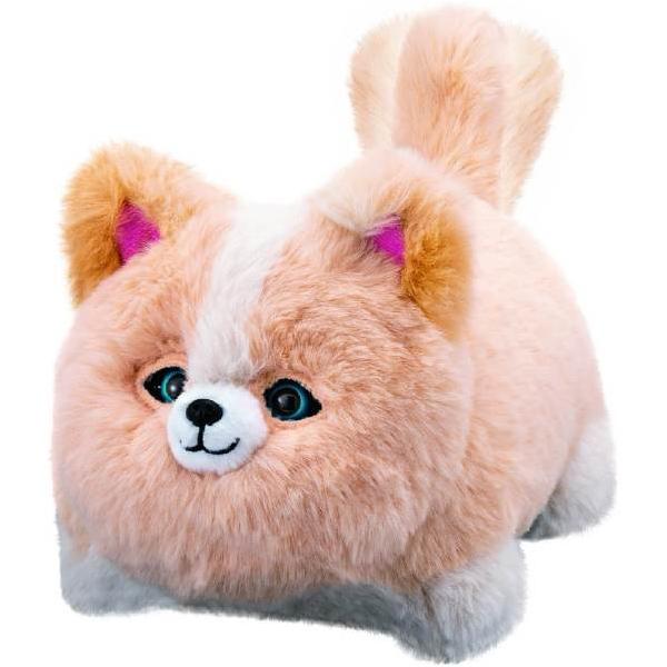 他サイト： ワンだきみは!?の商品画像