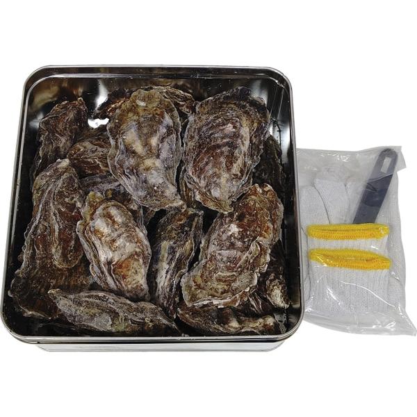 JF広島漁連 広島牡蠣のカンカン焼き 1.6kg 12〜20個 送料無料 広島県産 軍手 ナイフ付 牡蠣 カキ かき 殻付き シーフード 魚介 産地直送 お取り寄せ BBQ