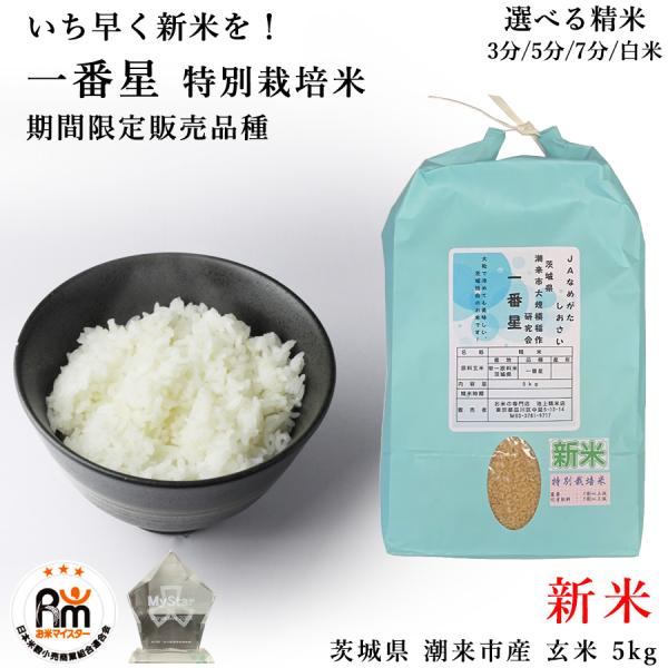 砕米　白米　割れ　25キロ お米 5kg 特別栽培米 一番星 茨城県 潮来市 JAなめがた しおさい