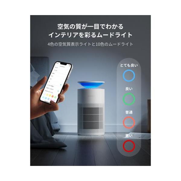 ebest_0810150541854_3_d_20260220043255