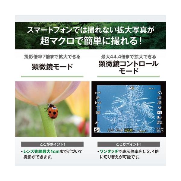 ebest_4545350055981_4_d_20251022043610