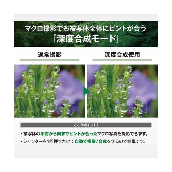 ebest_4545350055981_5_d_20251022043610