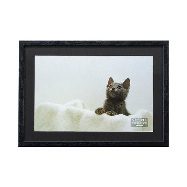 iJoV F-SW-113-D ubN ؐʐ^z WZc ʐ^t[