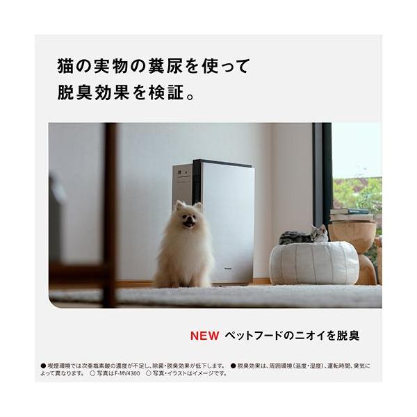 ebest_4902704892065_3_d_20251022043708