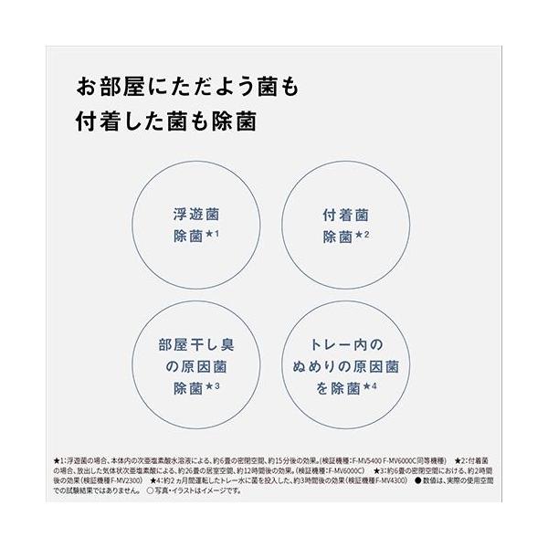 ebest_4902704892072_3_d_20251022043710