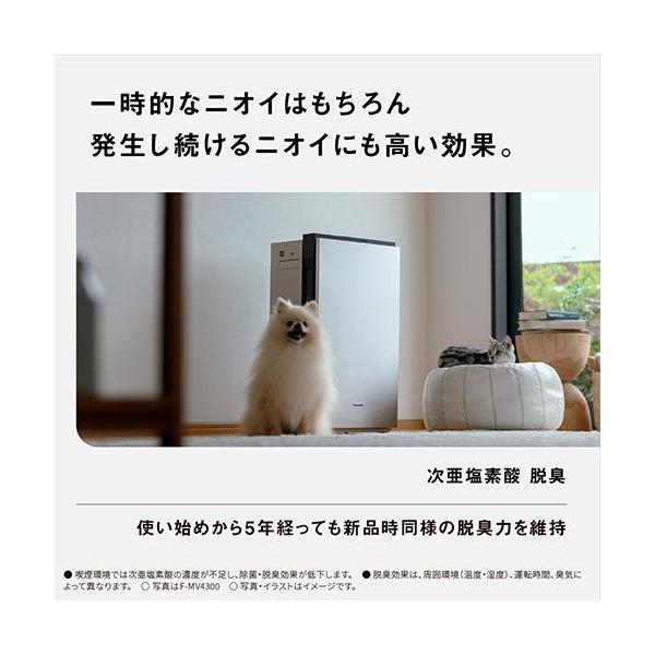 ebest_4902704892072_4_d_20251022043710