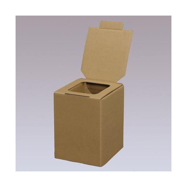 ACXI[}(Iris Ohyama) BTS-250 ȈՃgC