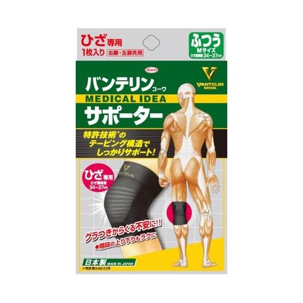 Kowa(aV) oeT|[^[Ђp ubN ӂTCY 34`37cm E1