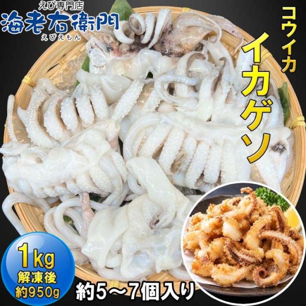 【業務用】コウイカゲソ 約1kg 5/7サイズ（5〜7個入り）タイ産 紋甲イカ げそ イカ 下足 冷凍 唐揚げ BBQ おつまみ 塩焼き イカ下足 いかげそ