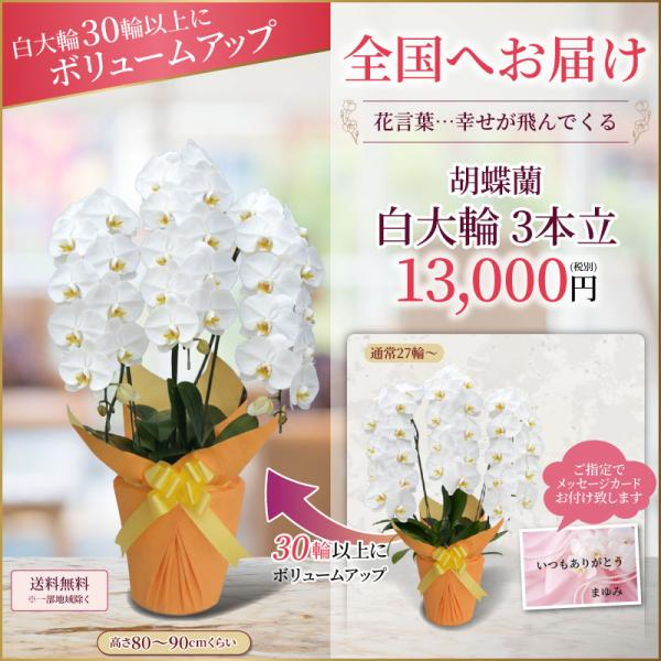 �Ӓ��� ���j�� 3�{���� ���(27�`30��) 13000�~(�ŕ�)�� �Ӓ��� �J�X �J�@ �J�� �ړ] ������ ��̓��yko�z�yya�z ���i�摜1