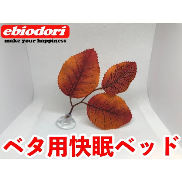 今までありそうで無かったベタ用の快眠ベッドが誕生しました。設置はお好みに合わせて水槽内に吸盤で取り付けるだけです。送料は無料です。