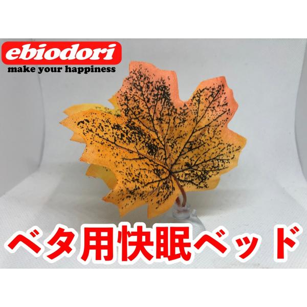 今までありそうで無かったベタ用の快眠ベッドが誕生しました。設置はお好みに合わせて水槽内に吸盤で取り付けるだけです。送料は無料です。