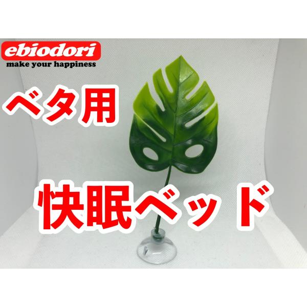 今までありそうで無かったベタ用の快眠ベッドが誕生しました。設置はお好みに合わせて水槽内に吸盤で取り付けるだけです。送料は無料です。