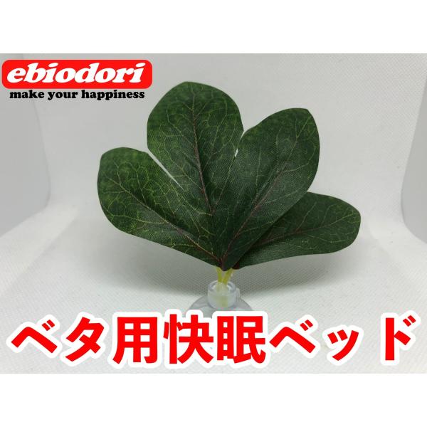 今までありそうで無かったベタ用の快眠ベッドが誕生しました。設置はお好みに合わせて水槽内に吸盤で取り付けるだけです。送料は無料です。