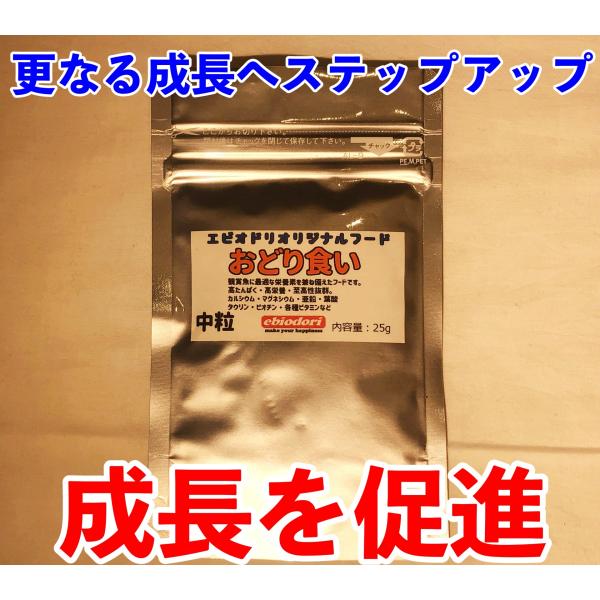 おどり食い（栄養満点増体食）【熱帯魚用粒餌】エビオドリオリジナル熱帯魚フード