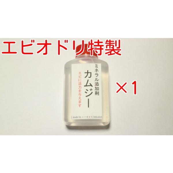 エビオドリ特製 ミネラル添加剤カムジー 1本/50ml　レッドビーシュリンプ シュリンプ