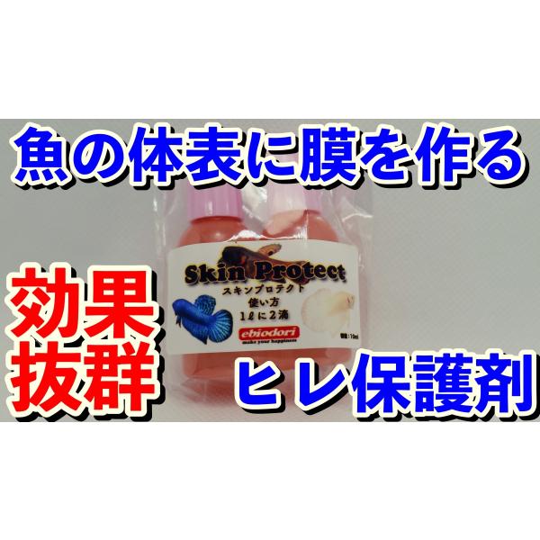 SkinProtect　10ml 2本（合計２０ml）ベタの体表は意外と病気になりやすい傾向にあります。そのためその体表を保護するためコーティングしてあげることで病気のリスクを低減することができます。一度使ってみてください。その効果を実感し...