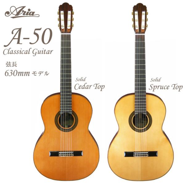 ARIAアコスティックギター ARIA（楽器） Aria アコースティックギター パーラーギター Aria