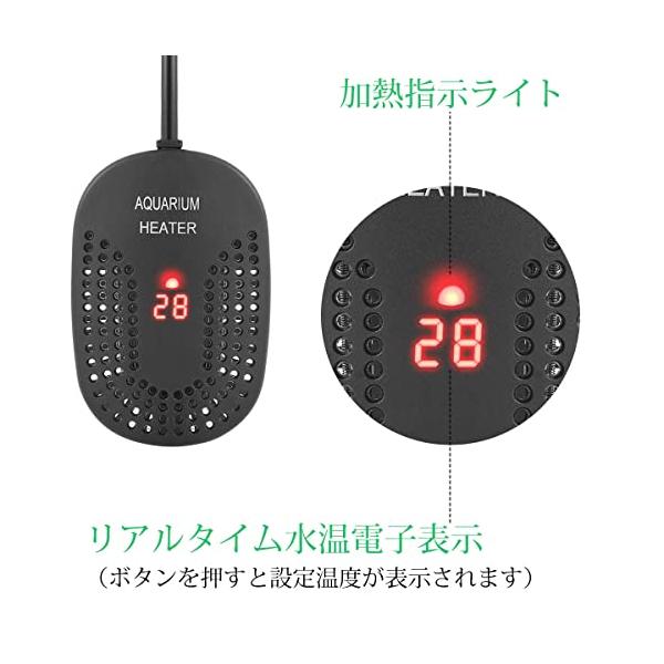 ebisstore333_eb26299854d5_3_d_20240105230707