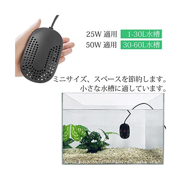 ebisstore333_eb26299854d5_5_d_20240105230705