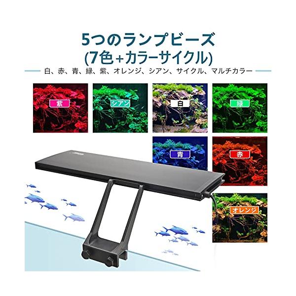 ebisstore333_ebf6ad8dc063_2_d_20240105171916