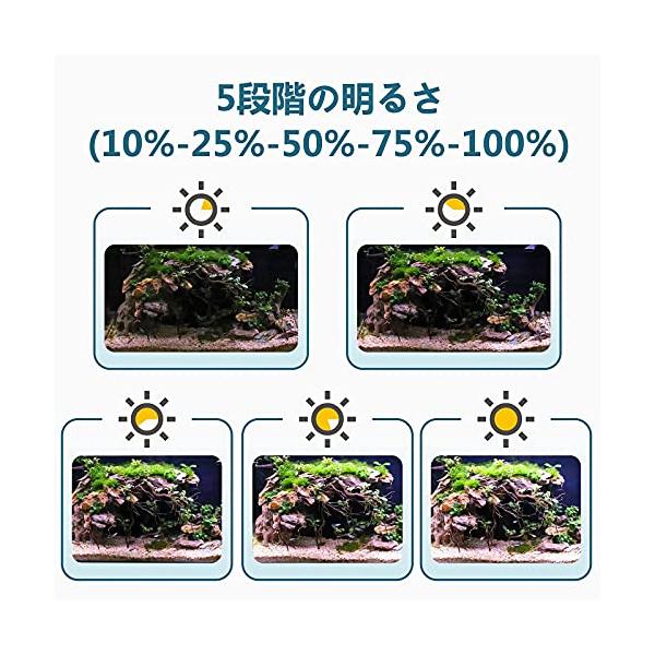 ebisstore333_ebf6ad8dc063_3_d_20240105171917