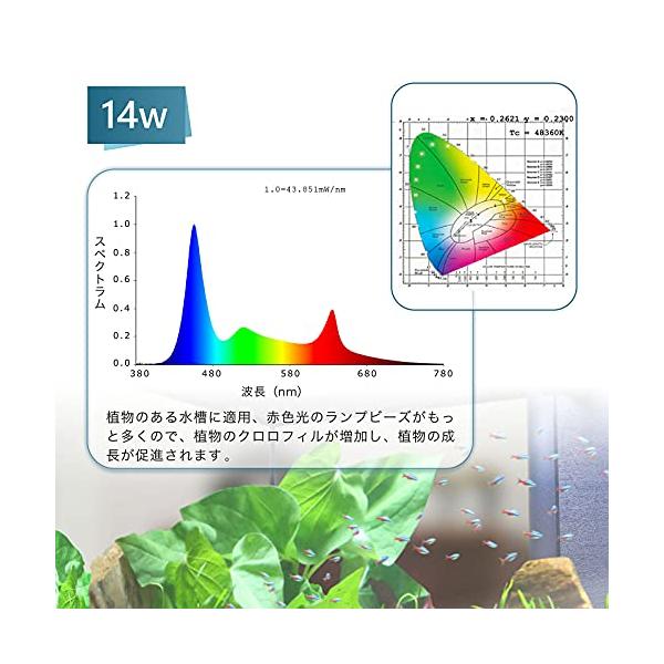 ebisstore333_ebf6ad8dc063_5_d_20240105171918