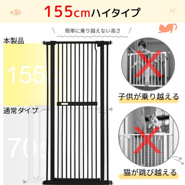 ebisu-japan_ck1000a_17_d_20230720120947