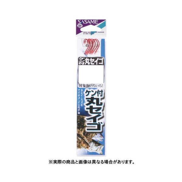 ߐj AA204 PtۃZCSiԁjt 11@ ynEtbNz