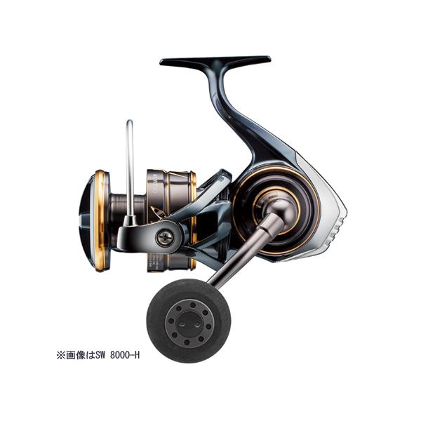 22カルディア18000H DAIWA（ダイワ） 22 カルディア SW 18000 : エビススリー - 通販