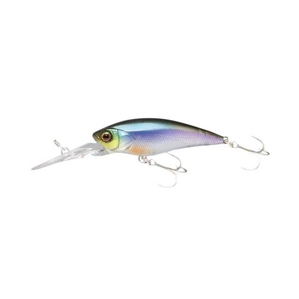 WbJ fB[rVbh (D-BILL SHAD) 55SR 55mm 5.5g Floating S[XgJTM A[