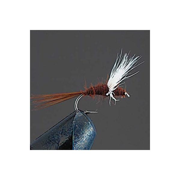 o[q COMPLETE FLY mhCtCn D1Rp_ #14A#16