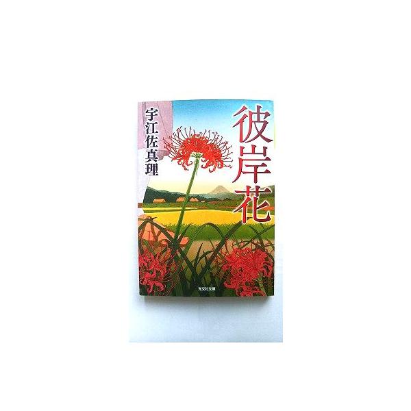 ebisubooks_b20240510-0507