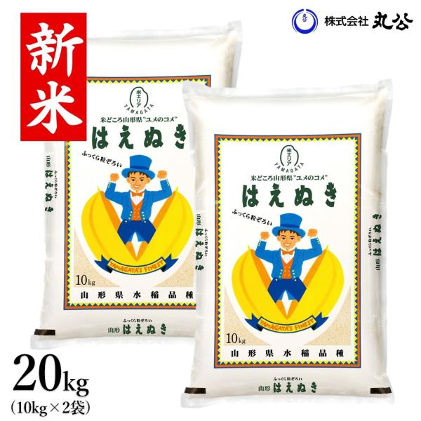新米 令和7年産 お米 20kg はえぬき 米 白米 10kg×2袋 送料無料 山形県産