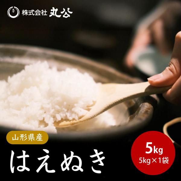 令和7年産 米 お米 5kg はえぬき 白米 山形県産 送料無料