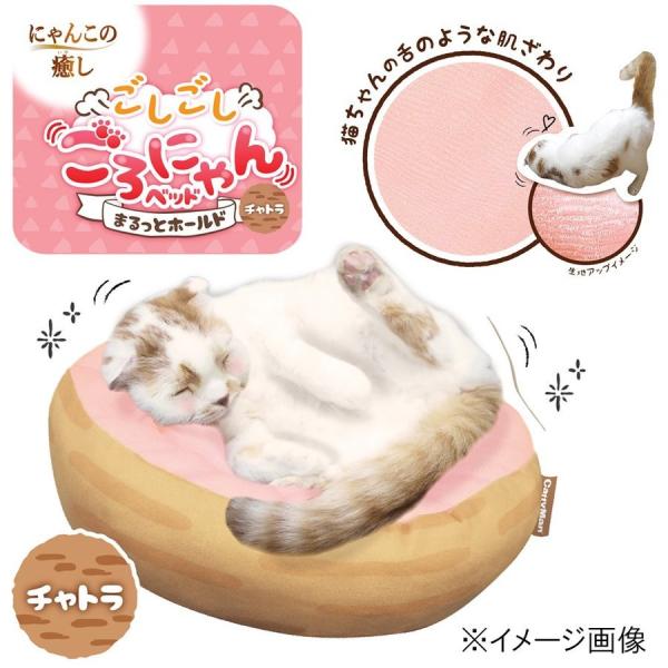 LeB[}  ɂxbh ܂ƃz[h `g ( 1 )ypbP[Wɉ݁AꏭLz