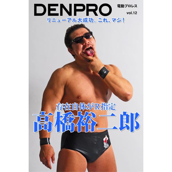 電動プロレス vol.12 電子書籍版 / 著者:電動プロレス編集部