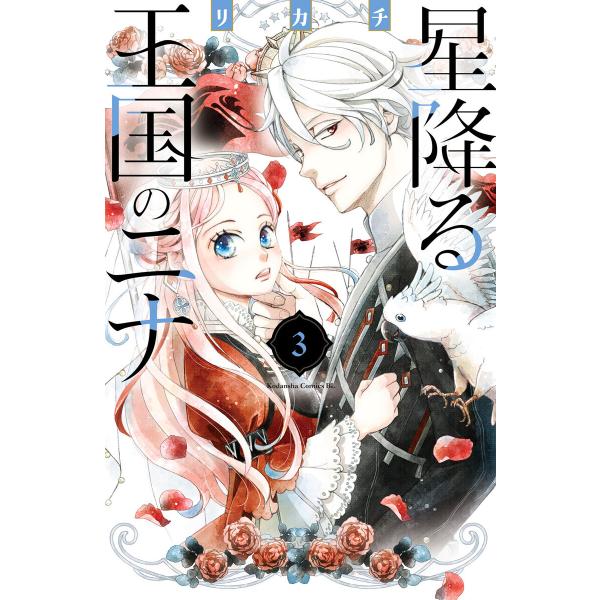 星降る王国のニナ (3) 電子書籍版 / リカチ