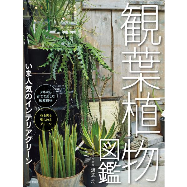 観葉植物図鑑 電子書籍版 監修 渡辺均 B Ebookjapan 通販 Yahoo ショッピング
