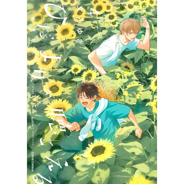 ひだまりが聴こえる-春夏秋冬-4【単行本版】 電子書籍版 / 文乃ゆき
