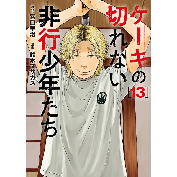 ケーキの切れない非行少年たち 13巻 電子書籍版 / 宮口幸治/原作/鈴木マサカズ/漫画