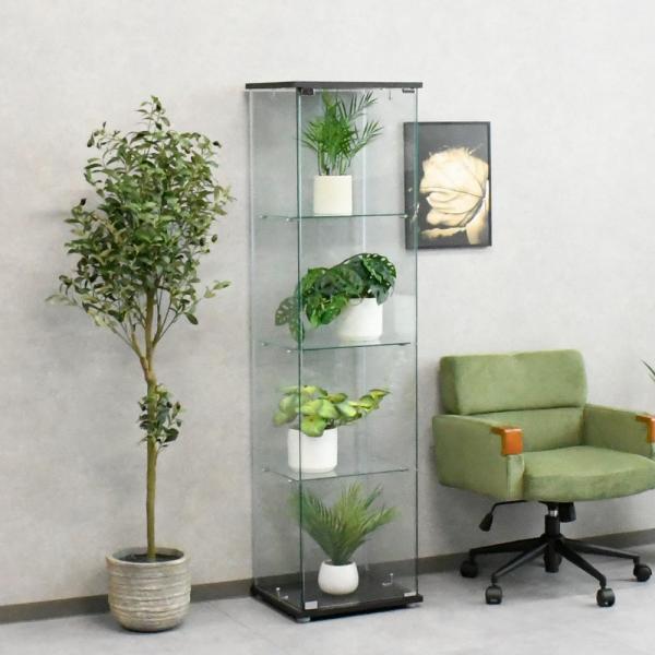 素敵なガラスの飾り棚 楽天市場】コレクションボード ロータイプ 幅90cm 完成品 背面