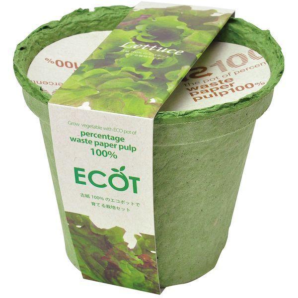 他サイト： 聖新陶芸 4528757025016 エコット M レタス GD-41101の商品画像