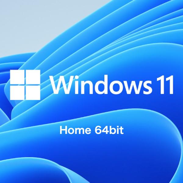 Microsoft マイクロソフト Windows 11 Home 64Bit DSP版 日本語版