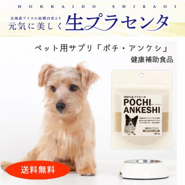 ＼ 定期購入で★26%OFF ／生プラセンタ 犬用　無添加　サプリ「ポチ・アンケシ」 15g　1日0.5g 約30日分 約1ヶ月 北海道産プラセンタエキス 濃度100%
