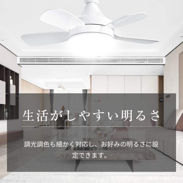 ec-offshore_s-fsd-03-wh_5_d_20240814190219